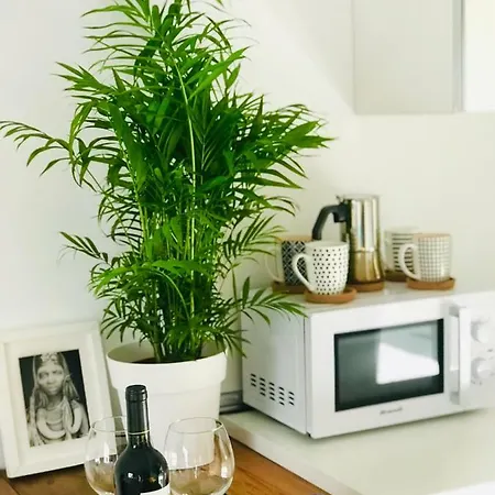 Apartman Lswhite Tinajo